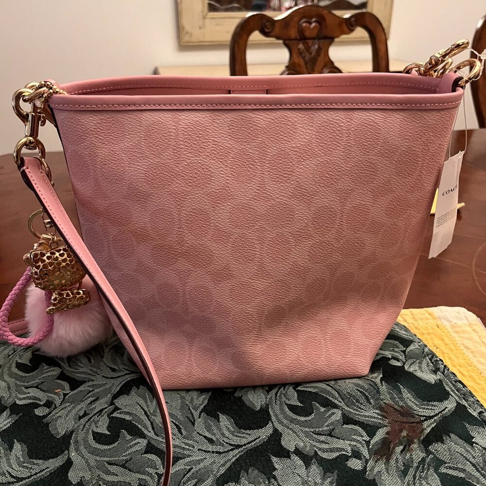 NWT Coach City Bucket Bag in the original Powder Pink from 2025 WITH CHARMS! - Picture 2 of 7